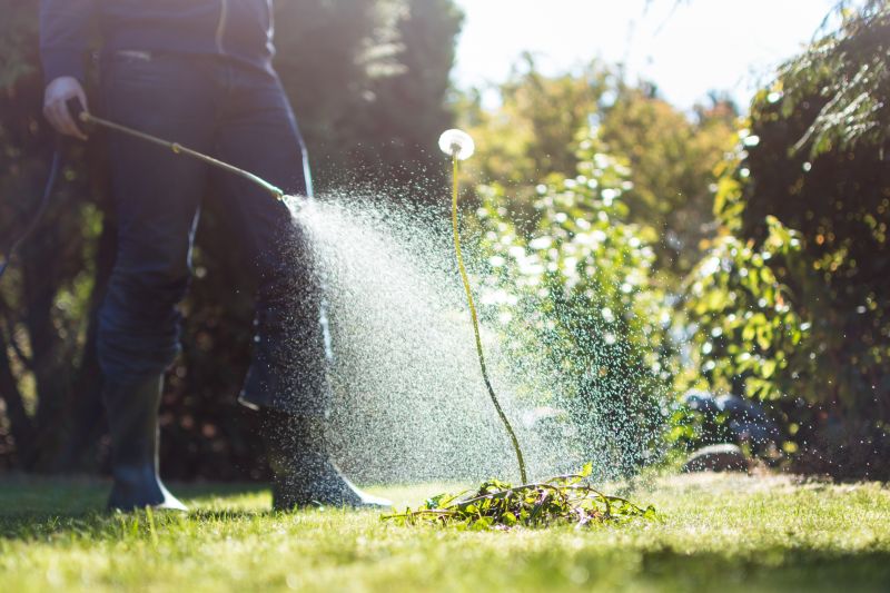 Products For Shrub Sprayings in use