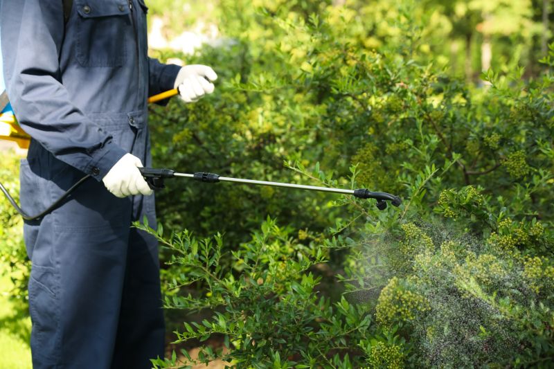 Shrub Spraying
