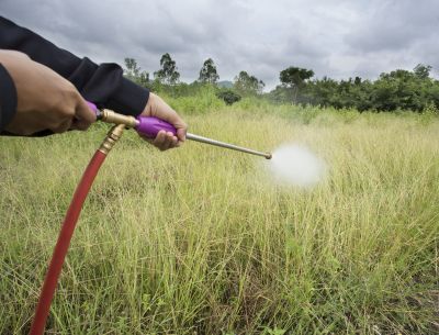Shrub Spraying