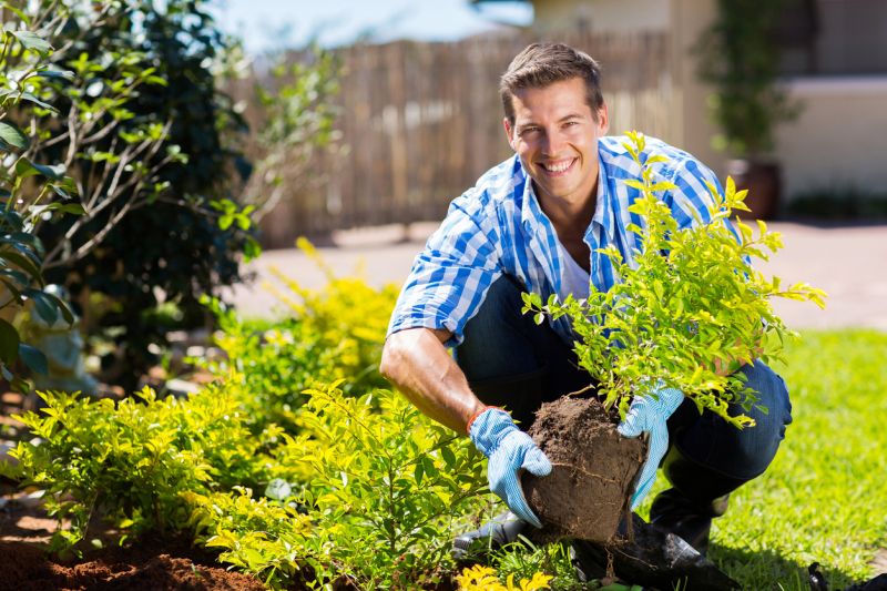 Licensed Landscaping Experts
